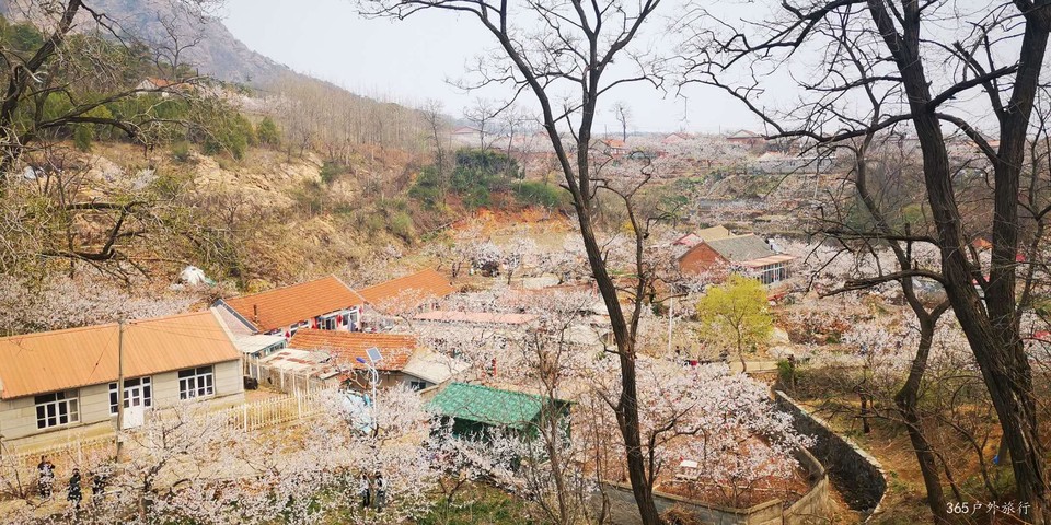 UDp7uN2GKCt-hrIDqDhAzugW9W9_mYfAljPcWuWQZ0AMLVS7epVG0C5Qc5v-TAqU