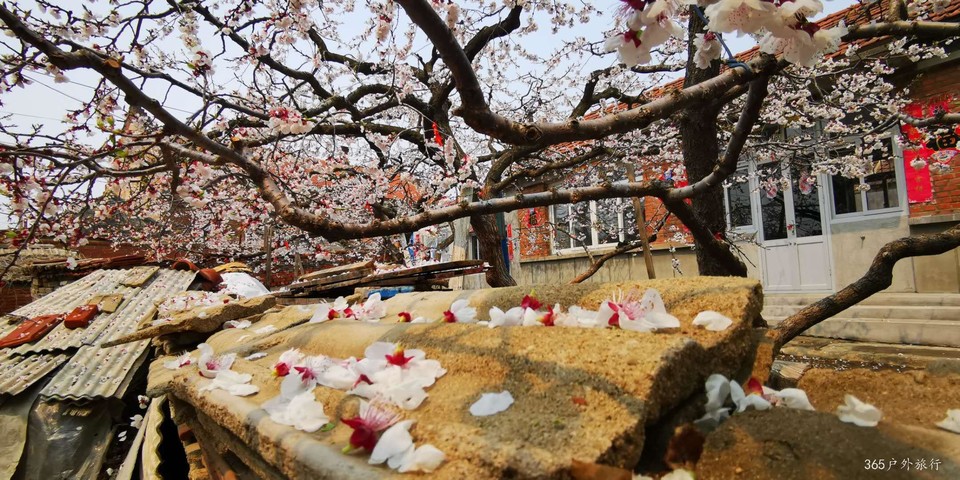 lRT1kqmsnYG1S36C1naPewtgbI4i9F1xnMGBUsTSynvIV8StEwXcx0niL5dmuFby