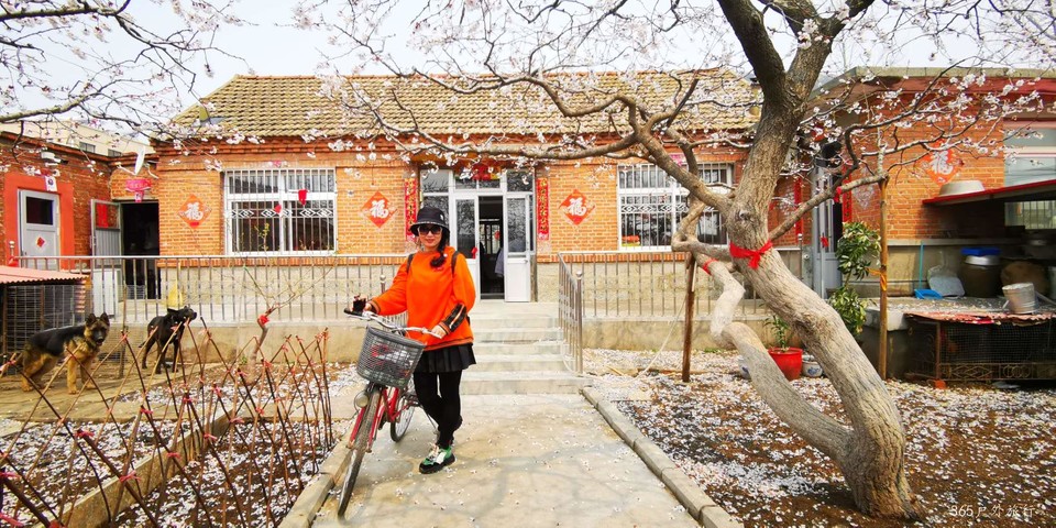 6D50nlJNsZ05pP97JVdyL5uVCN3r5NY4gHChi9FaWG7pKsjNDq_mkyJuDX5xgBSz