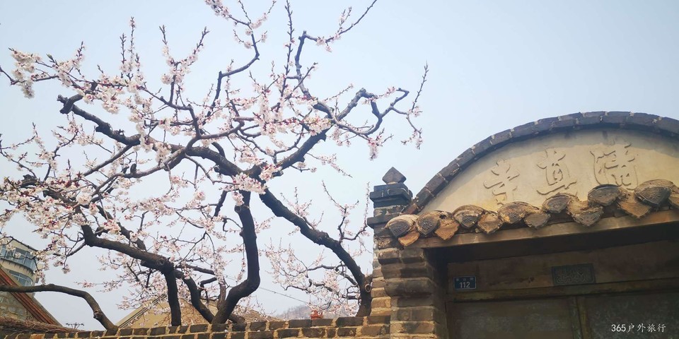 e1rIdKlRqBiuo8Ky51NQ6tYatbXCy4a7lCGIxplHuifmznohBcs-Usl7PHmoPv77