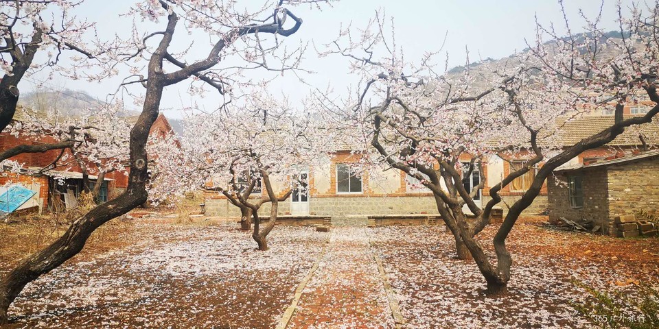 FryPG6JArDJ47WkDfh1RPAs9PklTRTraxKdJxokPP1i3X1WrEPbzz7kNa3jYeoW9