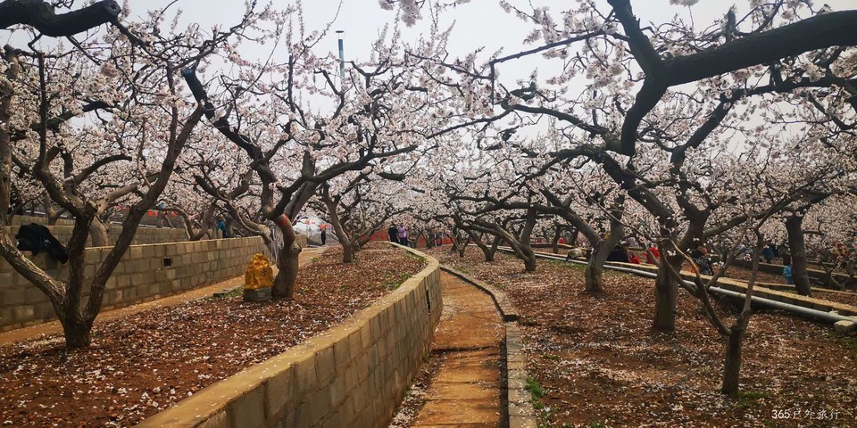 4FoyP6-7X9MZkA9xYDsmND_v5iocm_6tTsH3iowrMS9pacHcxxOsBdgt6bSKx53f