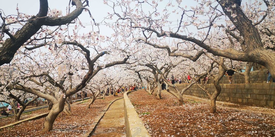 e_In4qofV1JWmqI3dbw-tMserhE-5OkkZ0dh3x8gzGaeqyrShC0ZxeQK4v7LEk5l