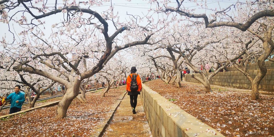 4JXjg5Ig1pMvA35FelKBOIUthMD5adb7QYuQJC9D3DtFSKlDmAEYWHfnumfghi5m