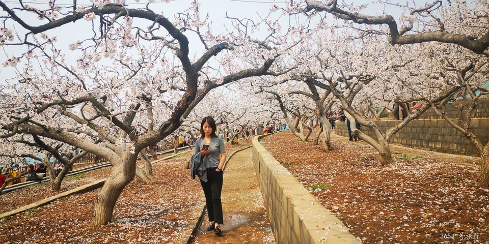 WnMGrePOSpqYPKM51ed1ZE69SzT5NqkKtrt060dyOeATPPo0MioaDj14If-SJXyK