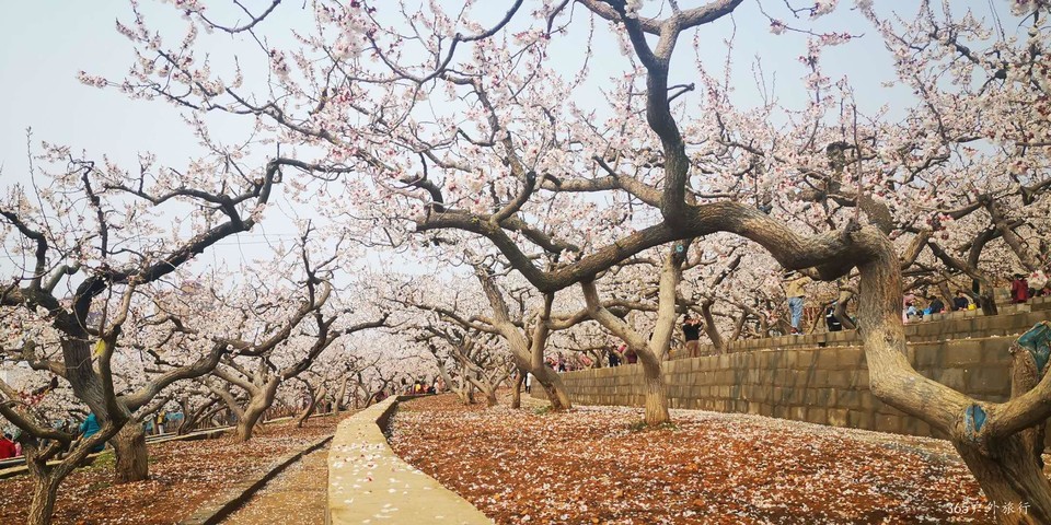 _DSxMjmNSbotHlHX68hIDQjZ9R4QZ4rAwpanzlRNrVD4awaO1dvpXcY61zc8ctHG