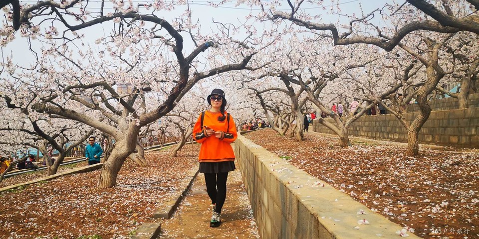 UzLe_kh_D7OSfQdQtJ-gFfgapg3w9l2sh5zj6QpeSyACRYFOwGhCXSgioSS9WZ2T