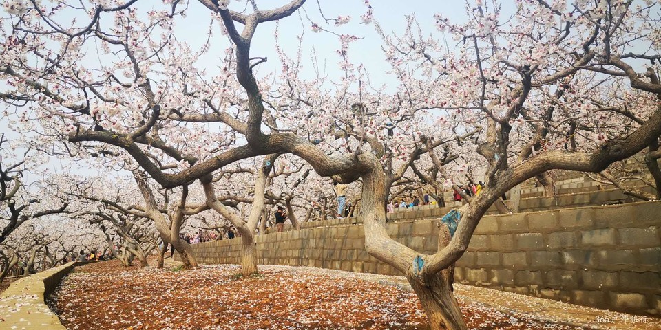 jAsizyN2GoeY48xW5P7iheuHhZz93gdVScYdAgutmuNwYUpw9ukCbwVa8NiYfX8n