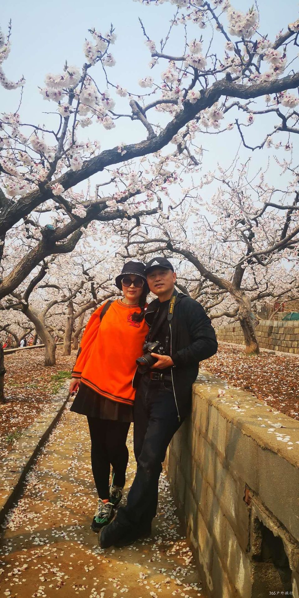 RtjrIbXH7-TW_MvbCpFbnk221Njxb4riO__VVbox8a2SmWypYmbF0D2EI3Qjj66E