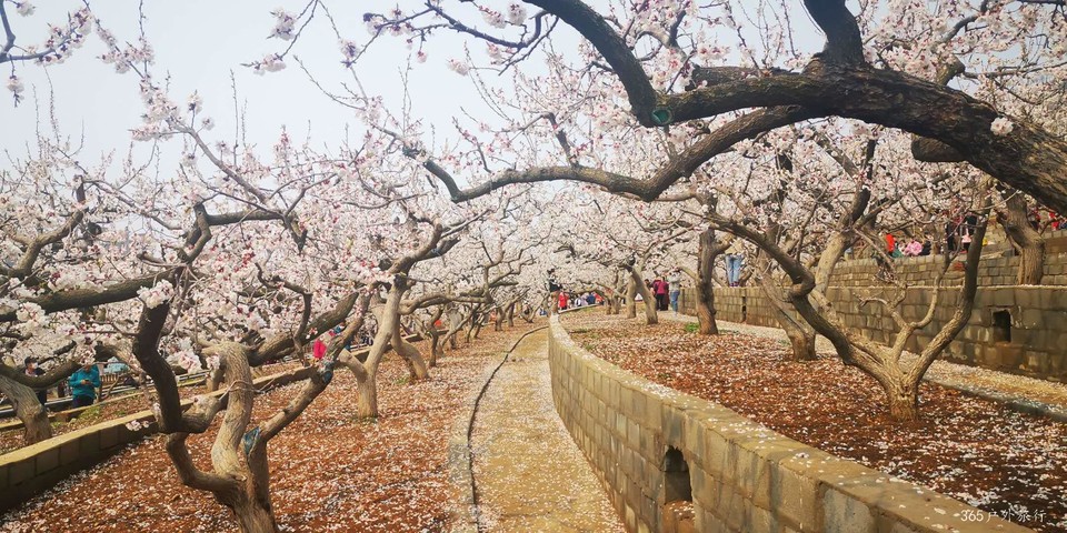 oARu9VeQiPWabj28c_Sy8R7ZR1Bk4qwMC_-Z5fDzk_F2UWaJlkI0shRLBCT8QNdt