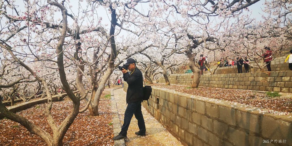 KTAuGri3uJYg-7bG9-ndr1NukukCZyttpHqS9ymzP8l6Irq0A48xe8zj4YBqd2GR