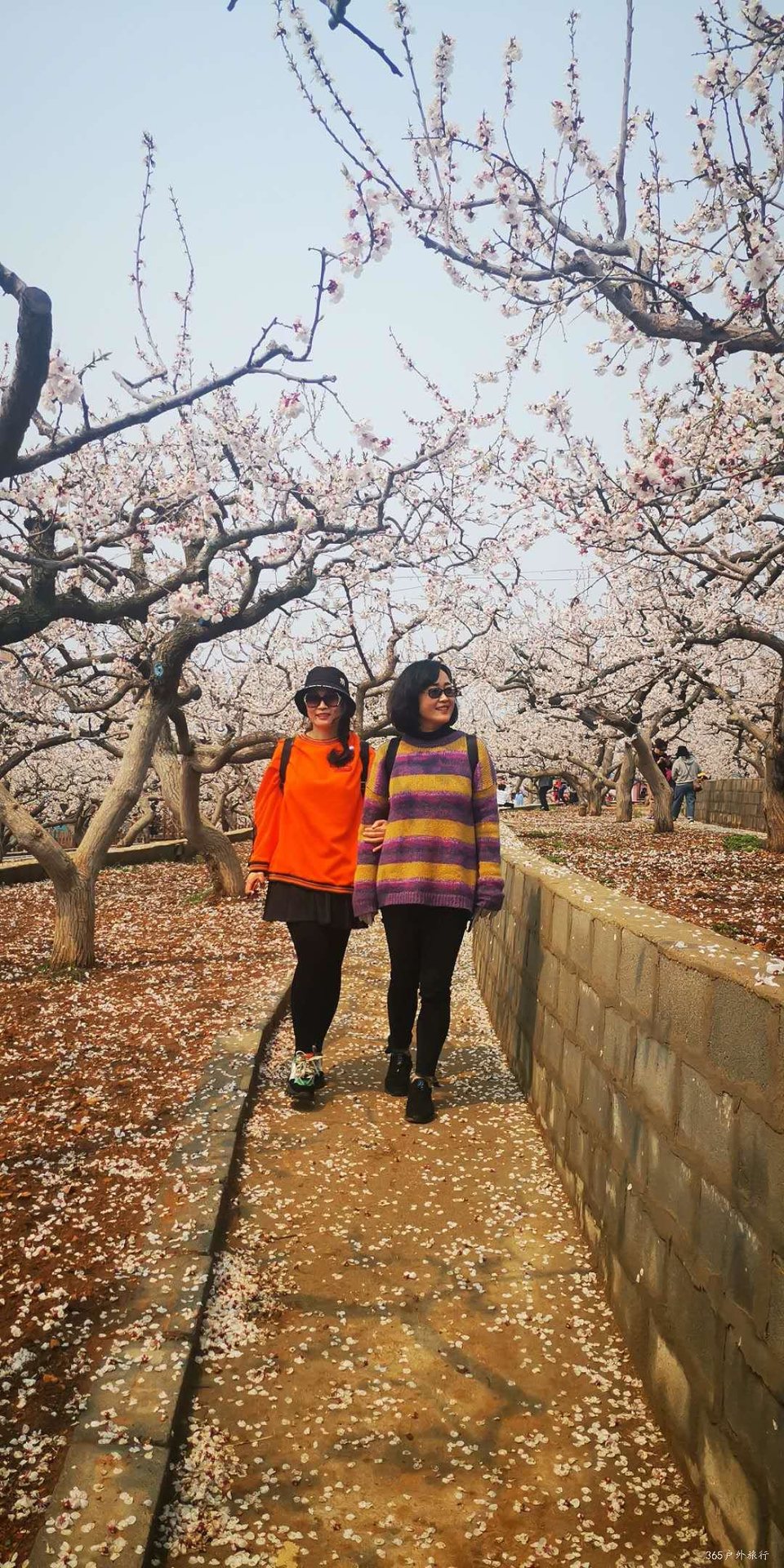 25IHl5hbhM13jSB5mwwF813ns-sEAF8nynpTL_o0jtm25Uq5HHiBv3B1ADBZKzZf