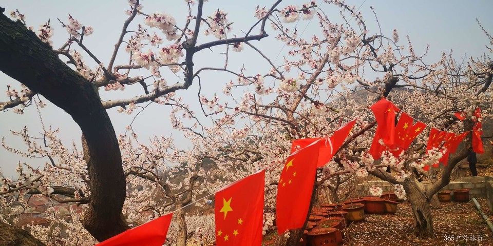 c8kLNKcq77bat6KM_GTr0b4hoB4Npq2bhUGIyURL5V1mydSGsCWocZKHLhMzJlEu