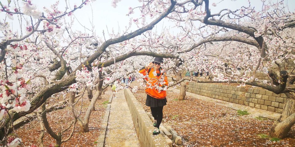 kSjDVeF-vBPzBQKYx0RfKyqJfhTC0SmG5oD8V7xXdWnFMIdnmnKhE6ZhNBqpaL3q