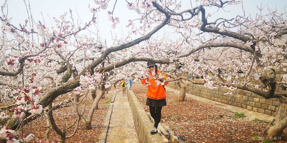 SvVTKCVghcgEJIl5Y7_IsVtahu0fU1bVTDJowlN6Oe3tyK0FGQ-BMKBAYCAZl9hb