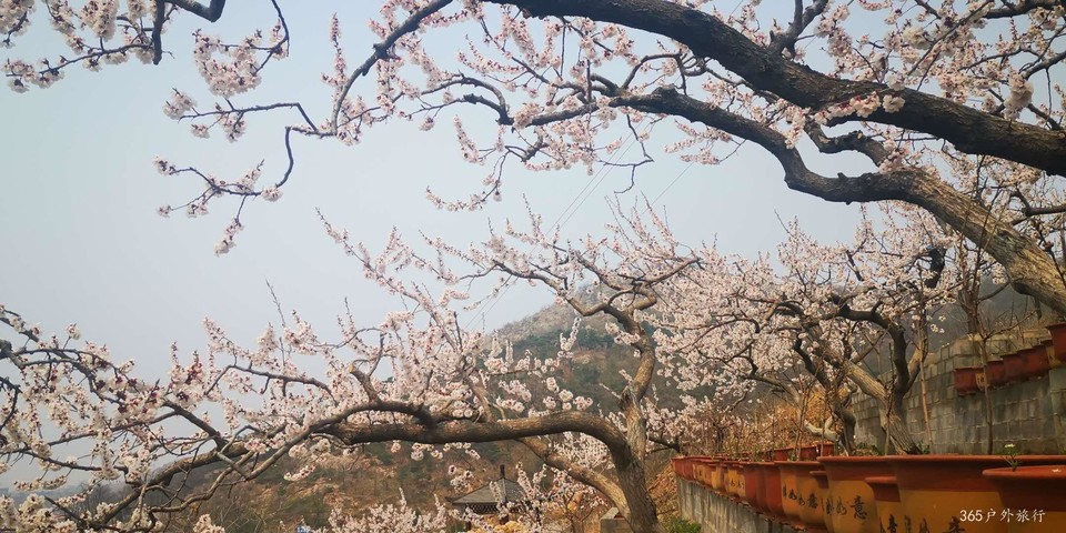 p6YnD-XJNf_TOTgAyUi-_AhOhlzQISqSHIngb6XtXgxIHzRWHstgGpPKxLl0hol7