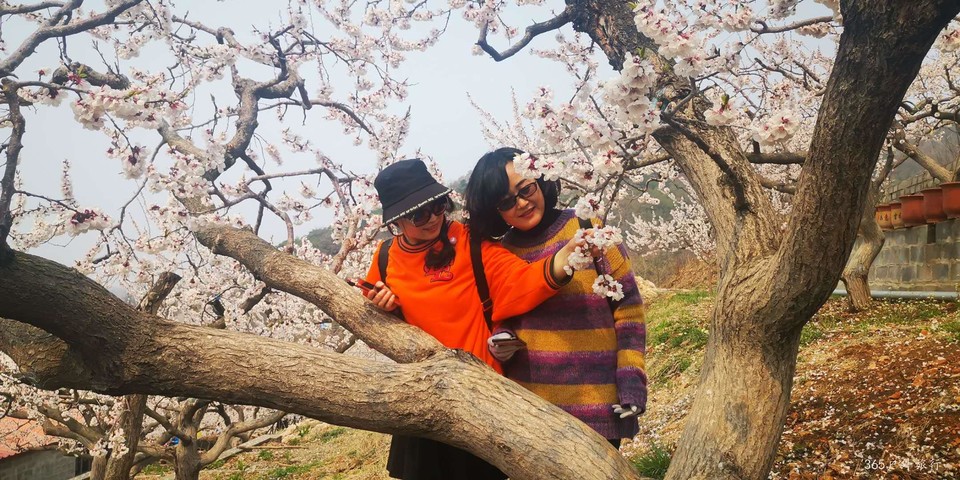 sHRfrPXkEmXcaROuRgwX53dMd48f-x0_zEWhkatGso2r9CQ236bAYzlrH4gH5Twu