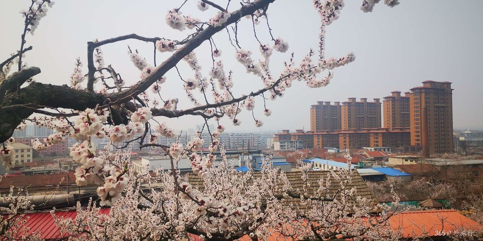 HnFCoI7LgYSyX4p3mMjwvTfDja-k6Uivz5kNsPHGrNkF2s801vvBdGQOShI4YQGW