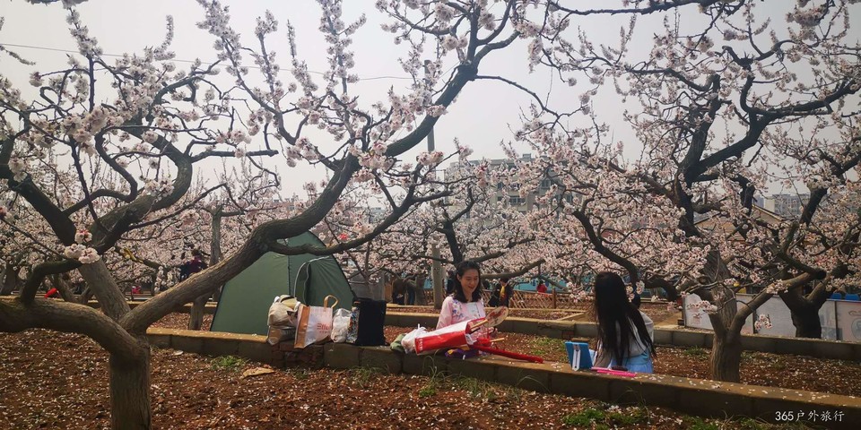 yvY1i89_IfWg6RP1VdFZwVbHNWTtBXidk0syNjR4j6R_37EhbFqARGdn7dW-YKhp