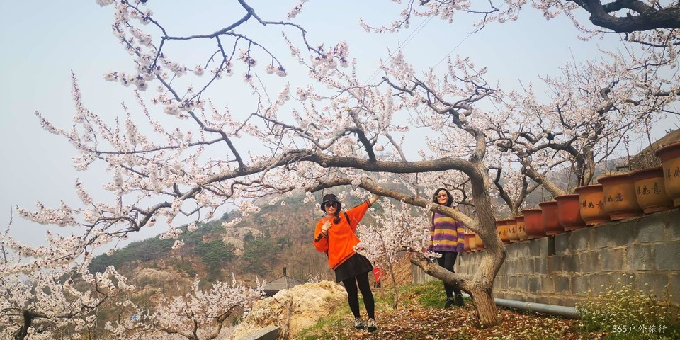 t2z3ry2KyeH048BVseQw2o7F_GyNXX3t2sypc9WEhkTf622c1H6Wn93SKpCF8-lq