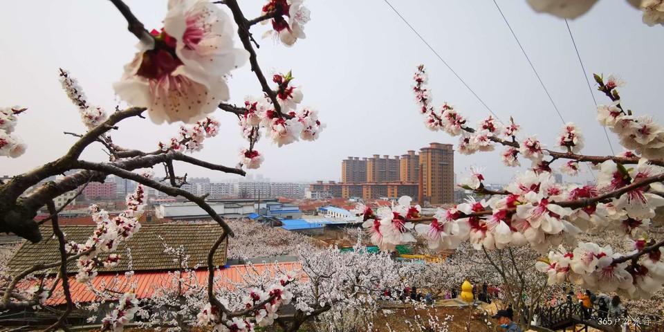 buUZbeR03kmeSN35AvVh19AqGYe1iRK3yEnZnzo3tTQ_BtNDRtZdzoDuHoqenBah