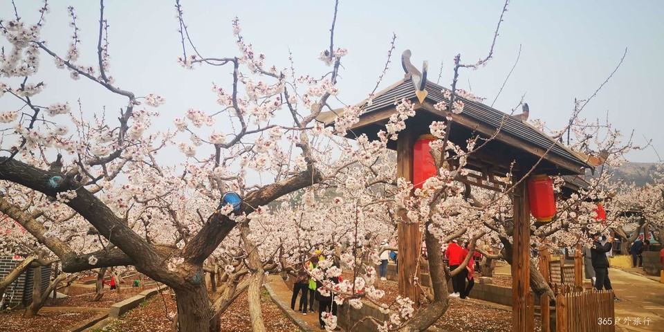 2O7AYN19sTcIBF7Vvq_euBwq18B85RslAnIzhp1KMdAIXbKkKpr3pSS62achG8dZ