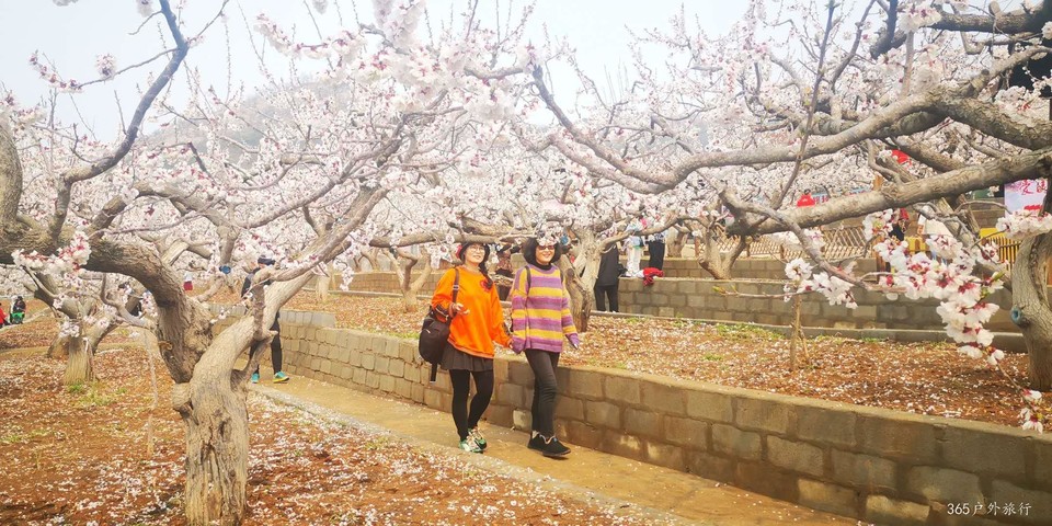 go0LDn4Vx6OW4YMnSGY2q1HnjhWxI6WzDn5Rz8sfnGQBYAyvPkE6M1otUzdac081