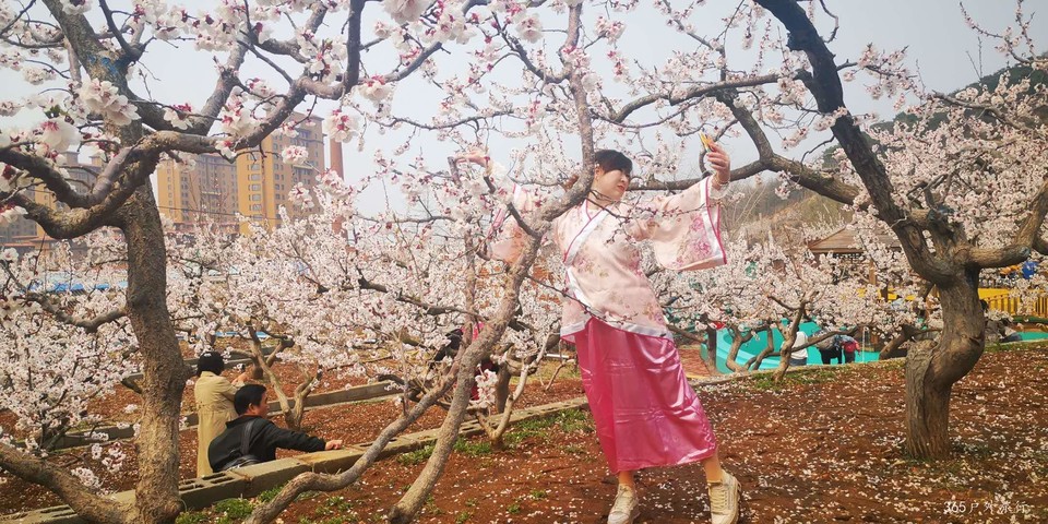 j12R4XRVmAb3WIOySR4oCyi4ZBRHiE9ku6WEHl2KnkdJneCqIRIYFNz0fzJs8B_u