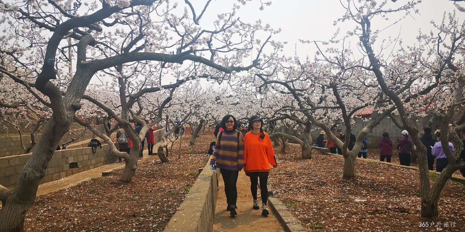 9peO4zXbiKKZpPMWP7ID9IlddNzR8pYwcrjYiMa60pKvYDqgaTZivb8egQuJ_-bb