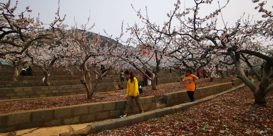 9dm3hhcQeoyODkOZA52rBUs80I2q4X7mSHN0Hry1OAf5KdPxl-pw-Ul1-YGkDxYp