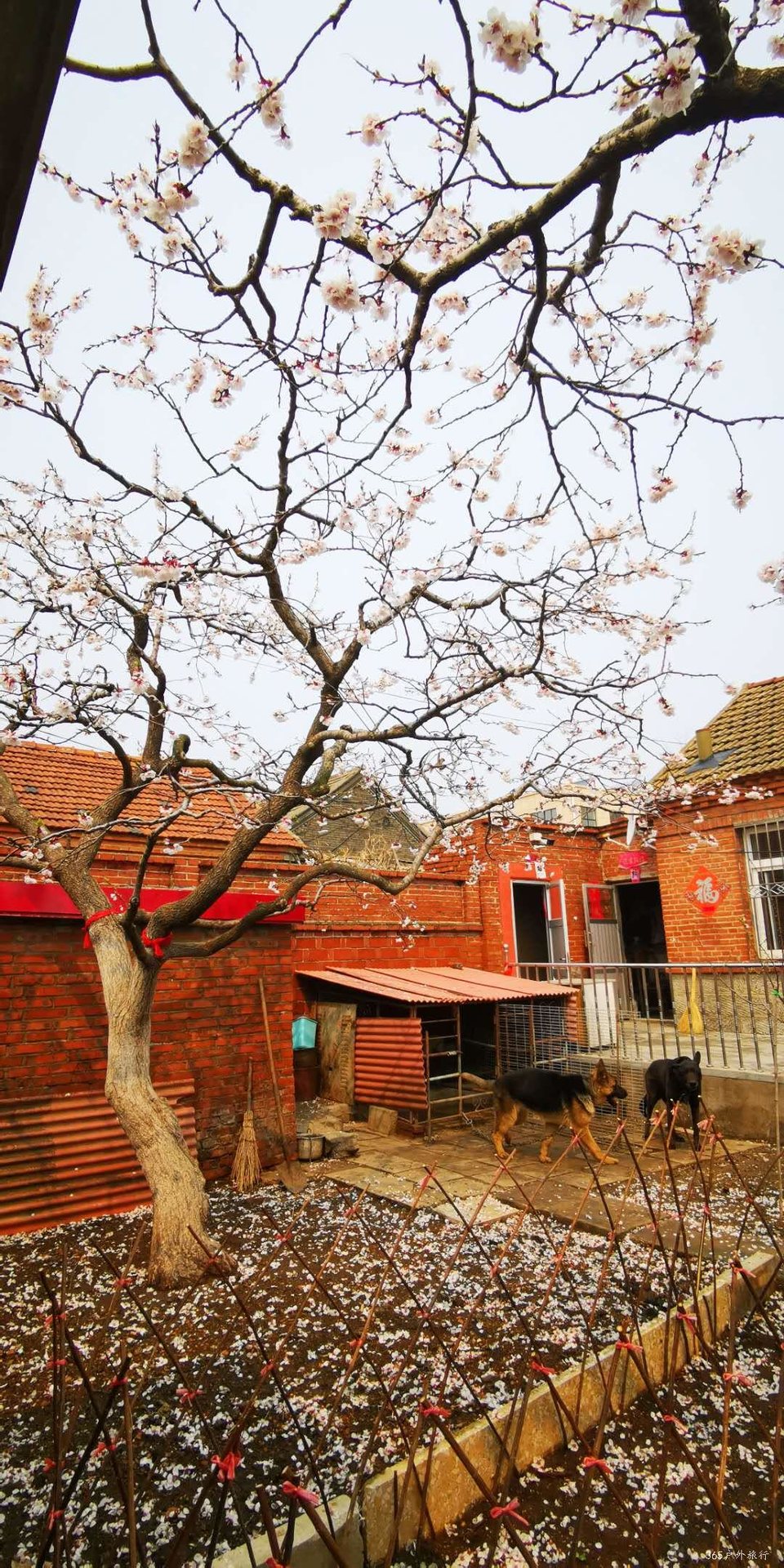 q1CxJY4Fem6pX2hhupuwuj9vGZbr06aks_7PUBrCkdw7Qfv90LxnmeiBHrrZGZZB