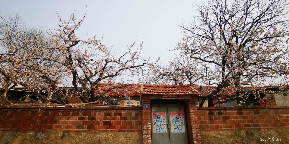 Mav3nv_iRfN4eFMM-ijg_gFFWbiZml-BGpUs668ubQcLAGp0OMChEJdm0wyA1Tjj