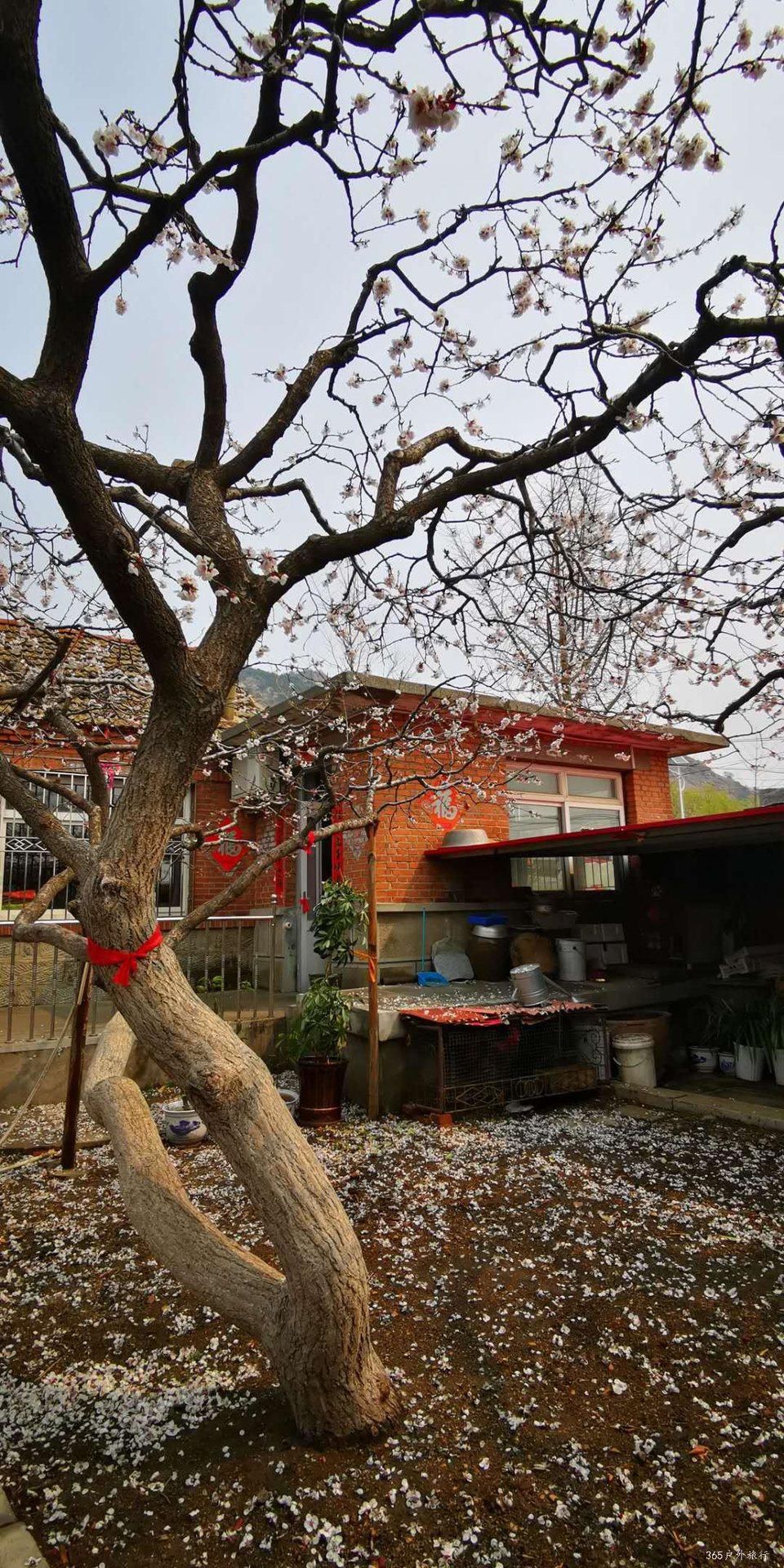 SKqV0EEwaRwNDA9NMzlJ2fIr4lG1t_nsltIfkURX3LX5k0pNHm6YDV4mo-T68EU8