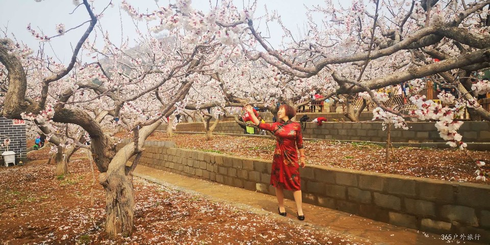 n_E184S0UwxziIQvSikuF9-aK6jzFkhsd5m8ZpRGjEQM78O7aZk40-3wqJsDDRmk