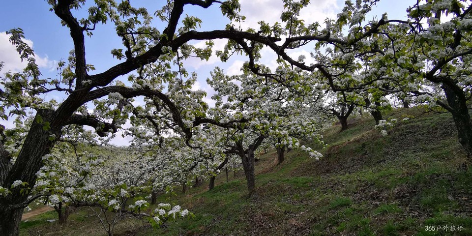 RsrvQdxhuGgwkBWeJsmAcaZNPsyNjsy_933sY6h-SVg7e8vLTmX5Vl6nN6w4HH-e