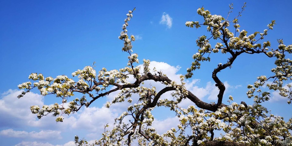 qrRWjtWT5Y3ZpLbauDEGeJCdA14cj90F8HzTtdqldHtdKc9hJsoUu89zQXNgiTXo