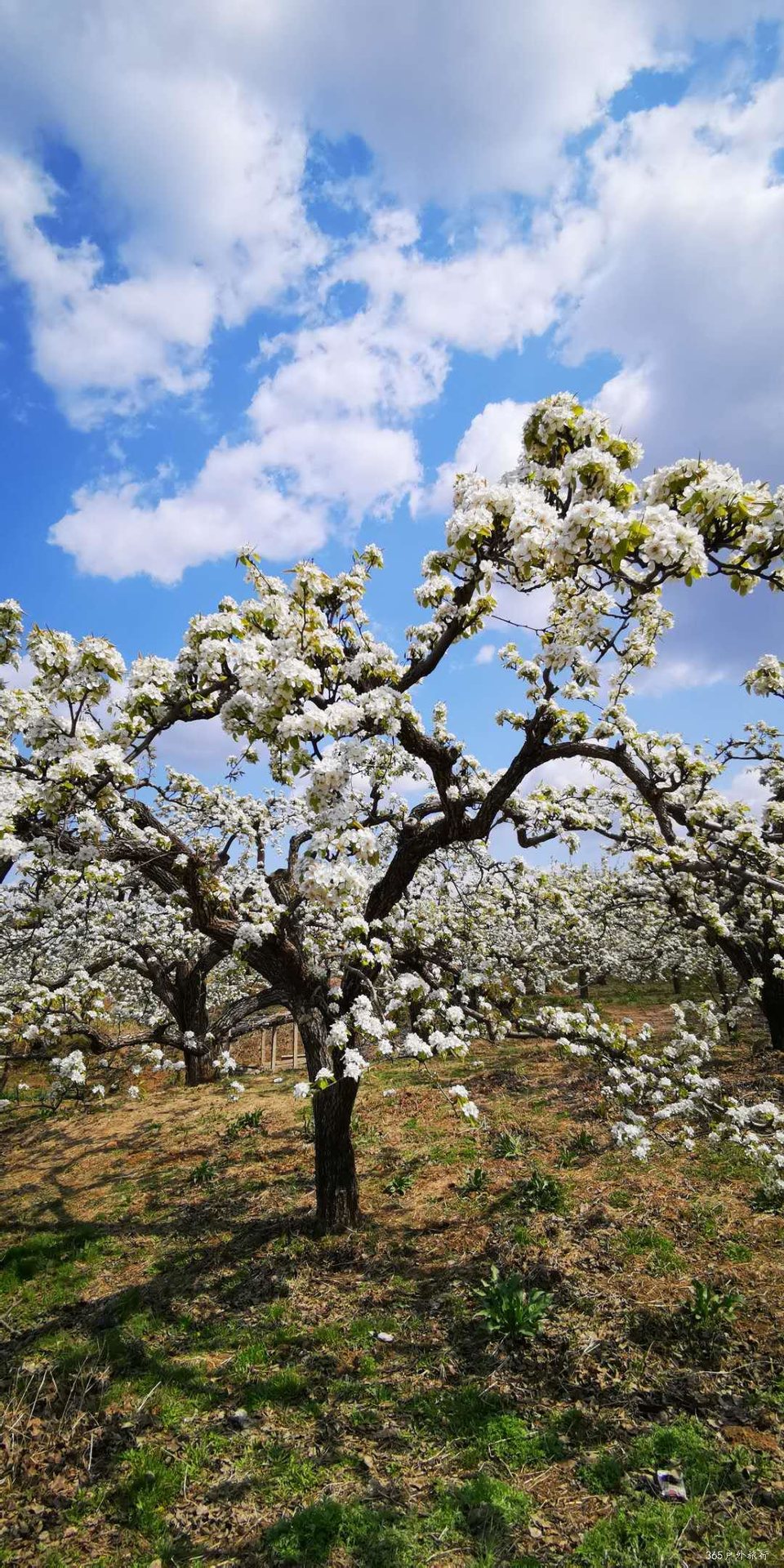 _-M1EcGo63Vlx5XUkA8gdRwnuQWuAZs1QOOEHGFFJ-68m2oaQT28yY0aEAJD2kDM