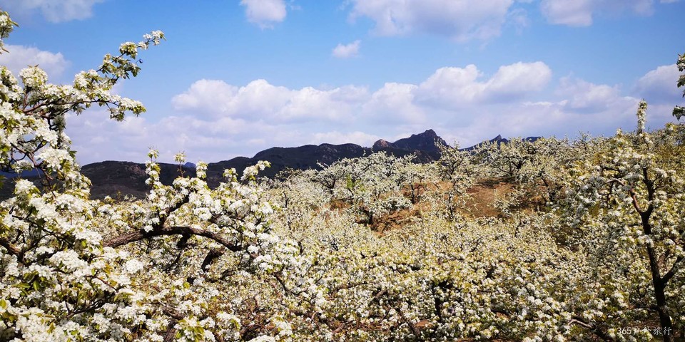 -_rsJS6MIZK7c5n3pGbfJvZiY3Wdetk2MZZPxnCO2mb4V7Q9-hEyLbm9hzW12oBw