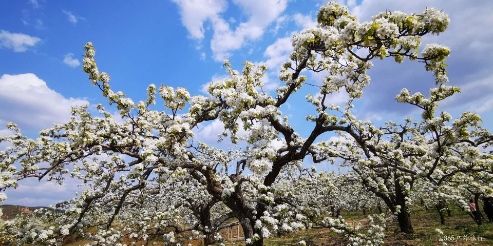 EgVgFjYBo8OlgJQEKRW6oc6Tw7Qz4rYUkRWo7Cl3Tl_-faRl_ensitSvQh4EkC9i