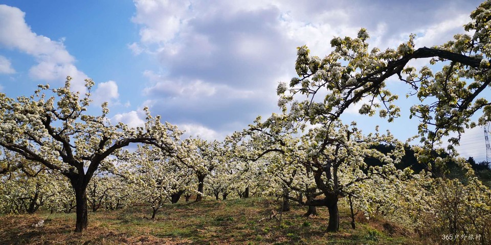 5Pv9zwxBgOCRam2Ymav15FgCrOe3vYbqTtozGp5HrtOJv8IkZUQ8t0GuyHCDftv9