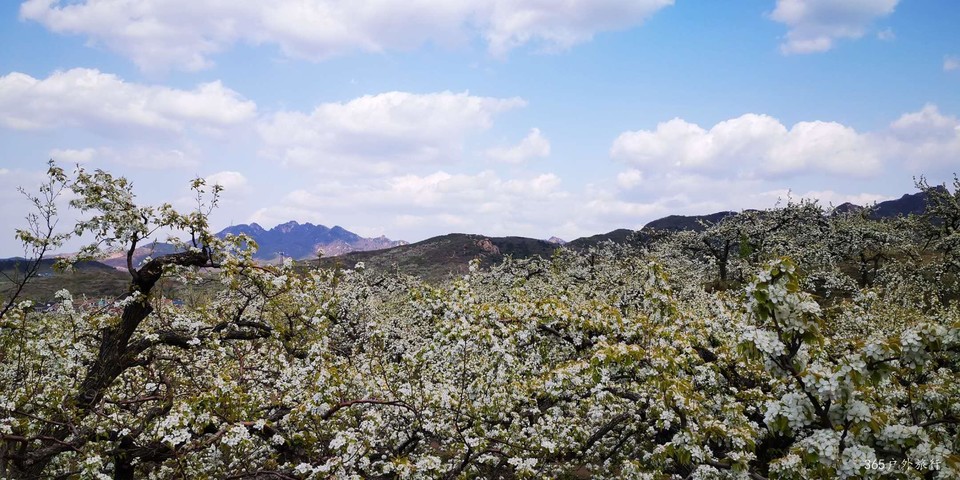 FLmxCdfxHMKFPgwHkc_V7RrcvdnaOinGvP9nCOQJlpacXcH4bOtn5ZtkQXmaXci3