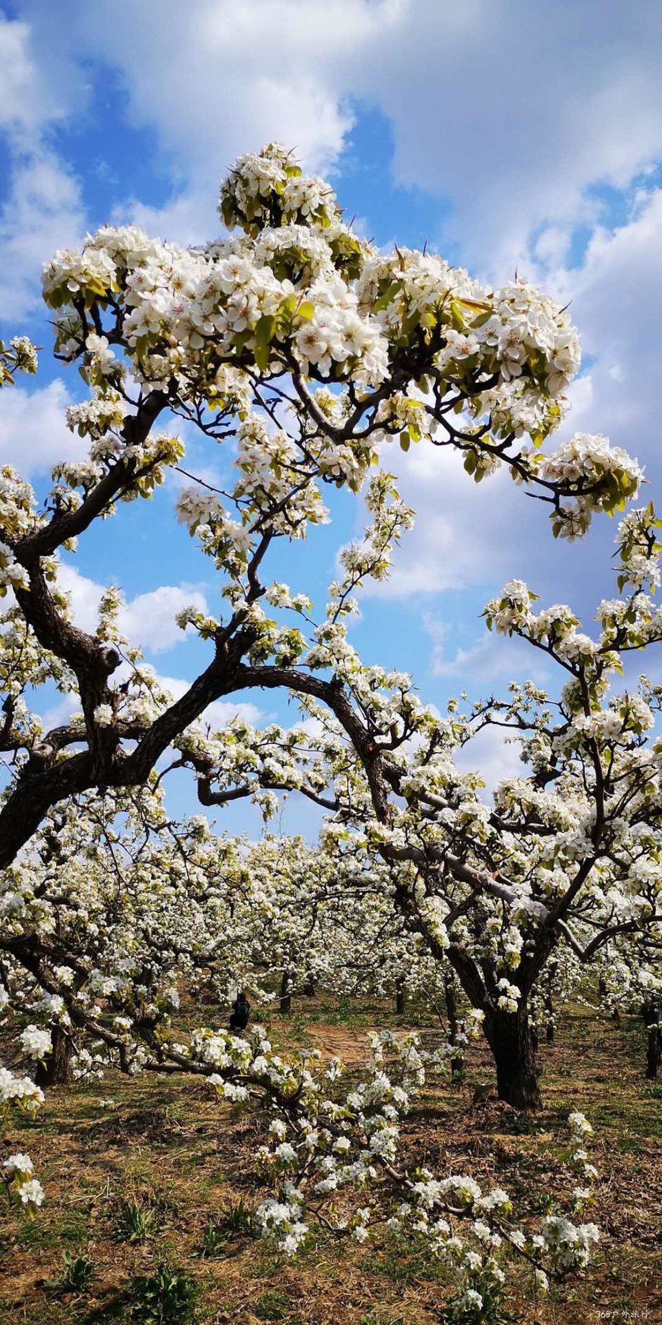 1rWeKHeJMU4rRpgUZLqUaym_Cu5ldD1r3Ct1duywvJ-Y0FteXxV65Qik4o9zdycH