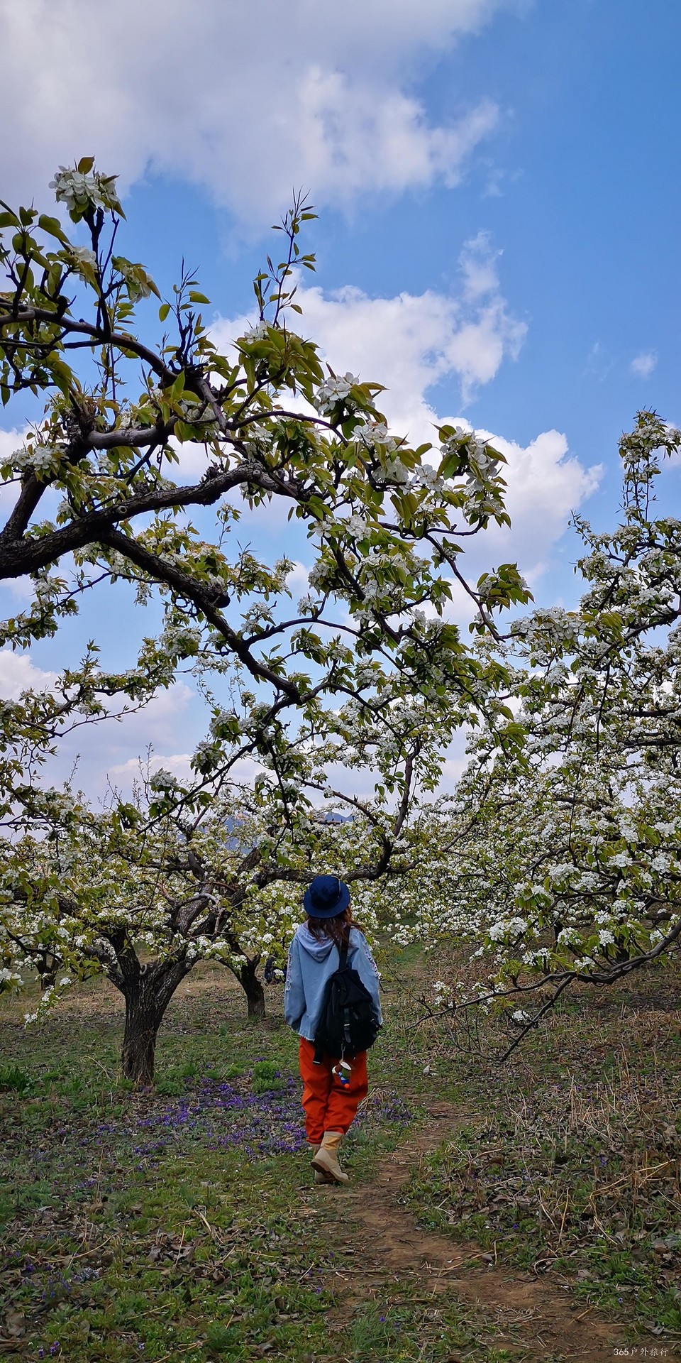 rCtOFTjnMY1BJXYH3Q68_xekwpBfJsKIETAWdQSvsX76Hil-rVg_dc1L1rjSJsl0