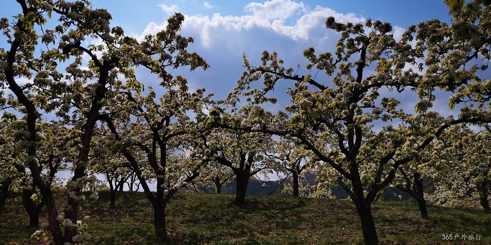 dF2MDD4O5MB8HEBWvi5Pfc-Q5elDMYsGrxTPVulg5qM2TImT1rUnUwwaRmwu-qdh