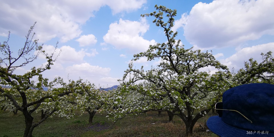 heqKuHDHYGWOolODIs6M4kuYp-1wVKrjrBEM-j3fX4IlaV-HQjvhZVkZ3k2sDXAy