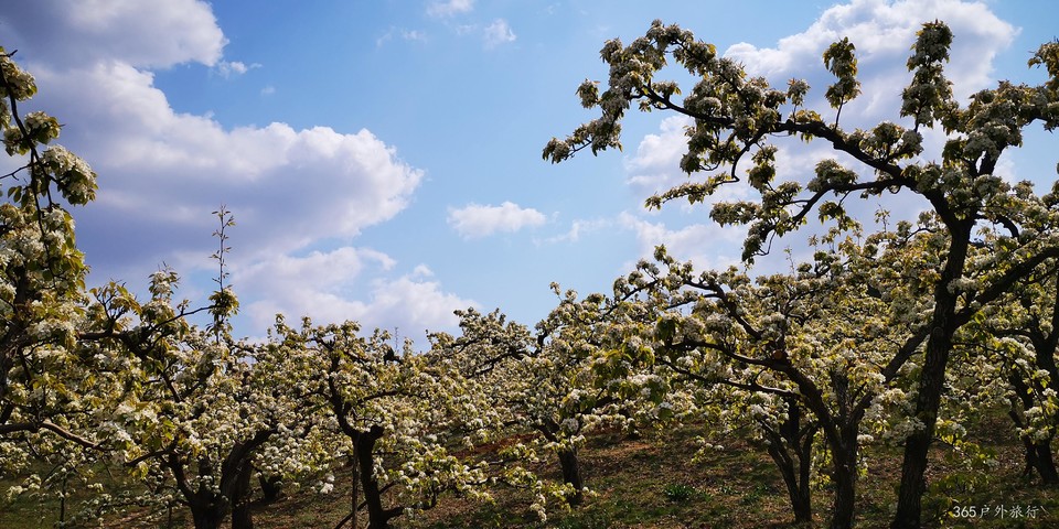 2QG9n0c905ImjrpW_p3hD3PSu4eRD30cKt-tKzyRHUWPNxLvFJuMunOoQcmuOprA