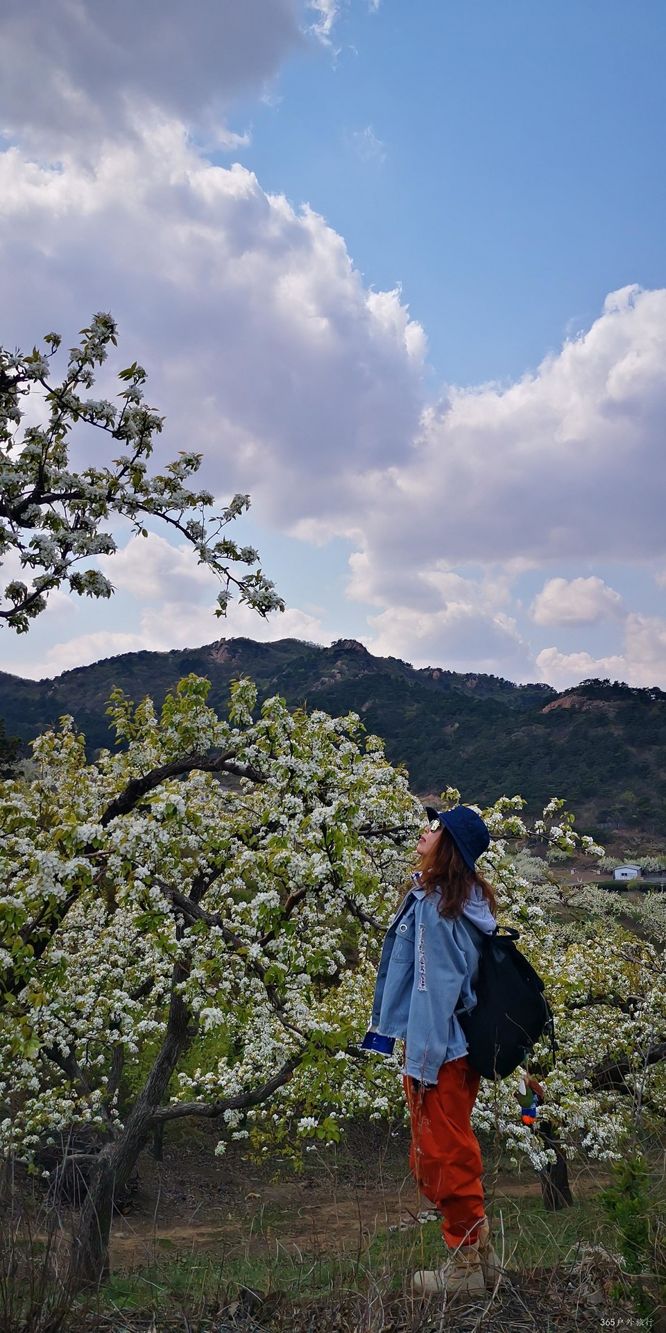 Gh_zkfcLAoGuBwjh3Wy-aDcxD8vYBjWi0iy_tvj4X9TgiWitWJqBZ_jTbwcS27B4