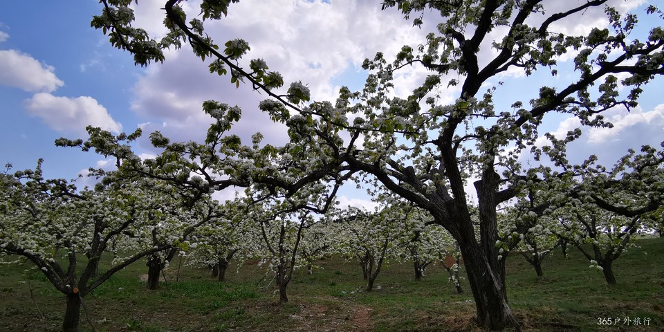 tDRhQbaszbKZ1u31oLP1l4_ij1KAoYE_G-6gNgmXG02g8sMMk-_iiCyHHFGzrPbH