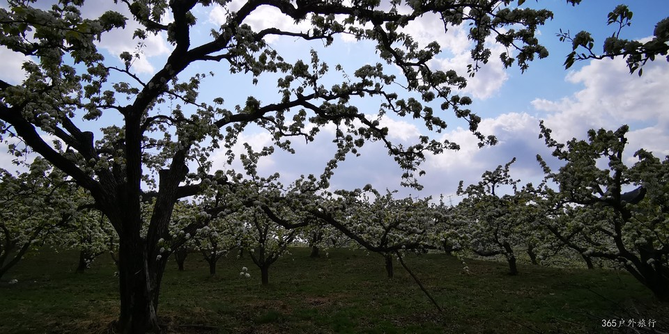 CSBSLqrkygalIeJF-rQehnMNsGZunwj7D4rlZhTw5GjduR4p1E6vjwjCl_Qy_glp