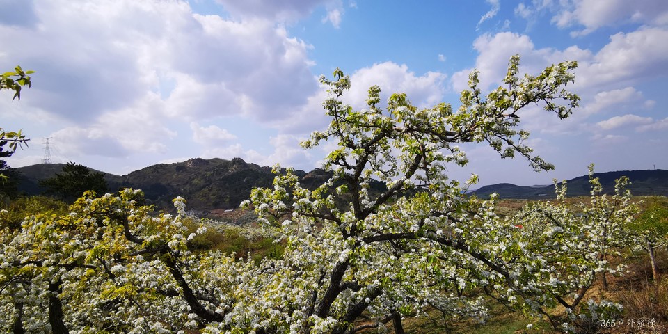 CnEotzNfyP80sp7yV98YB3XB_UuMjChp62a9lkUfnGlqSPbBCFF2nNY7FAxXVQcH